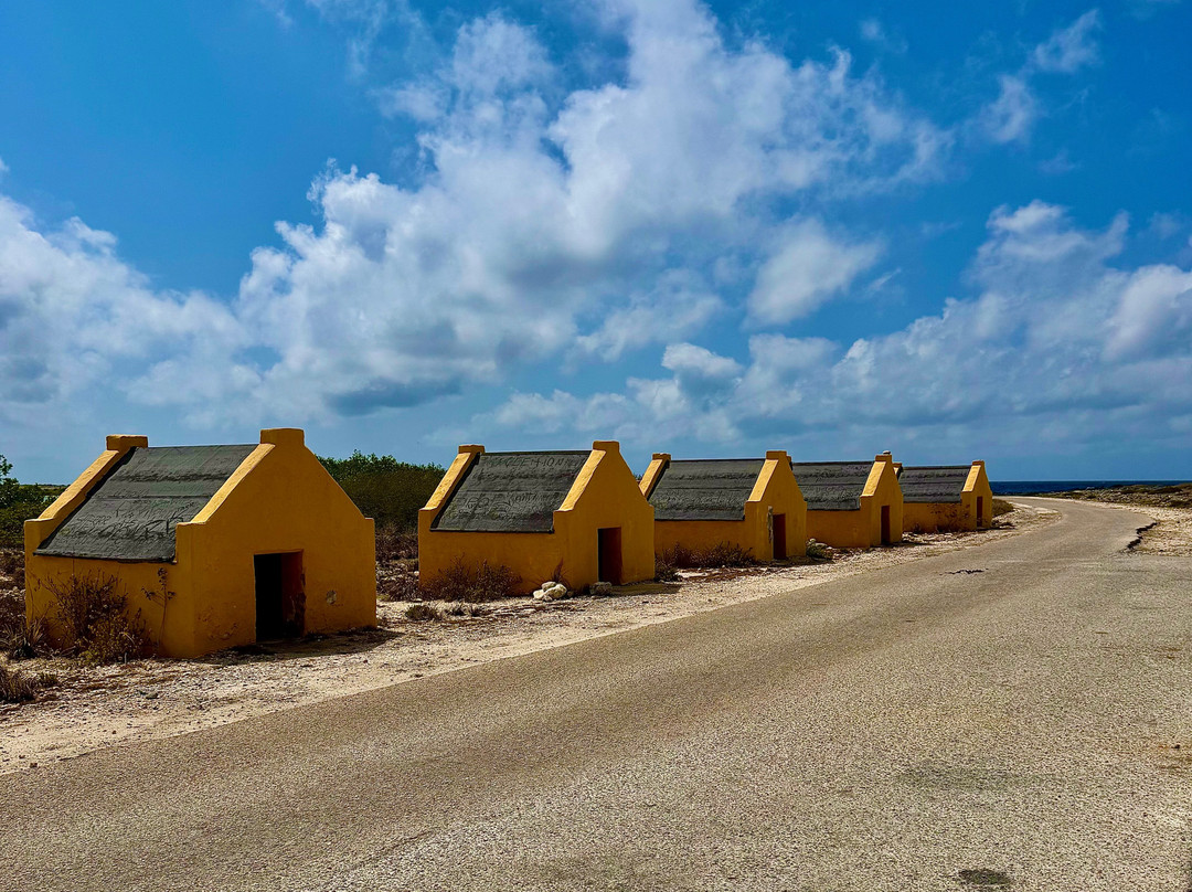 Red Slave Huts-Kralendijk必去景点