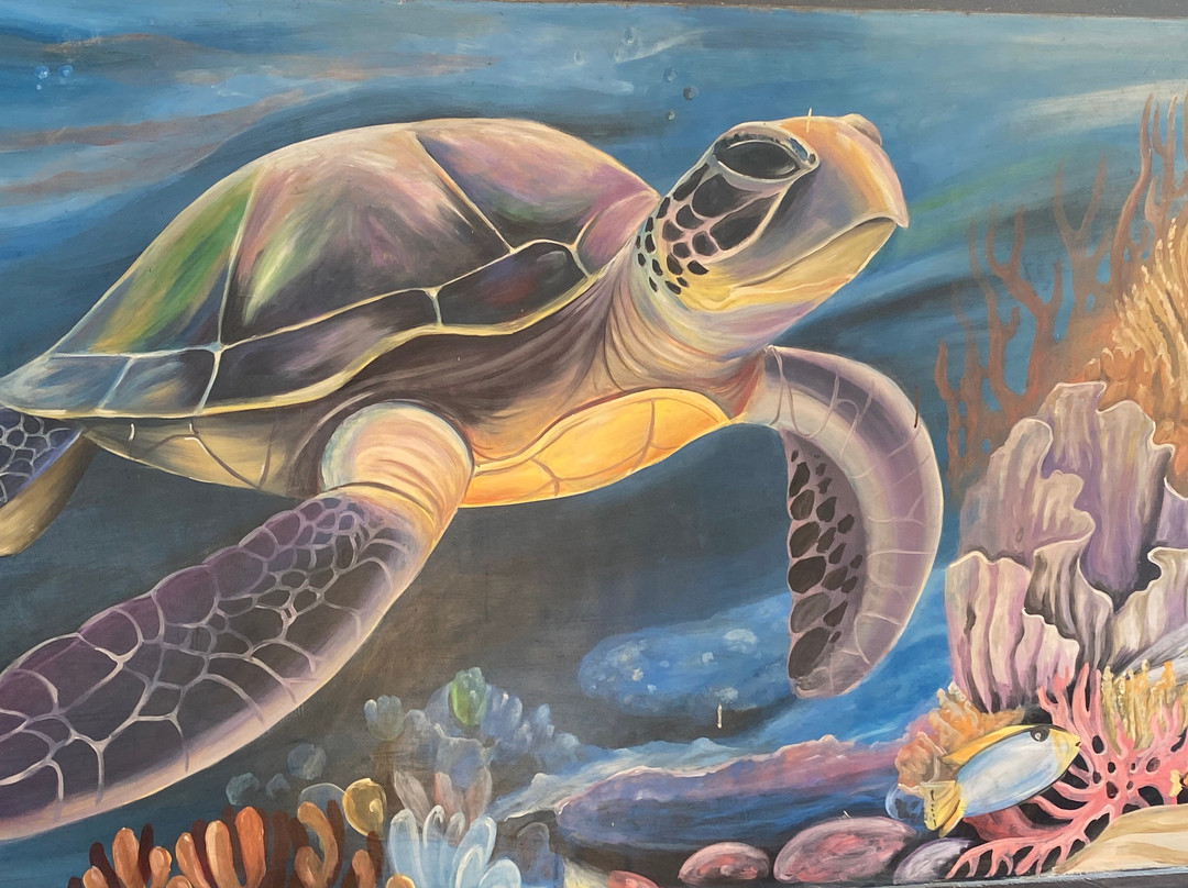 Sea Turtle Village