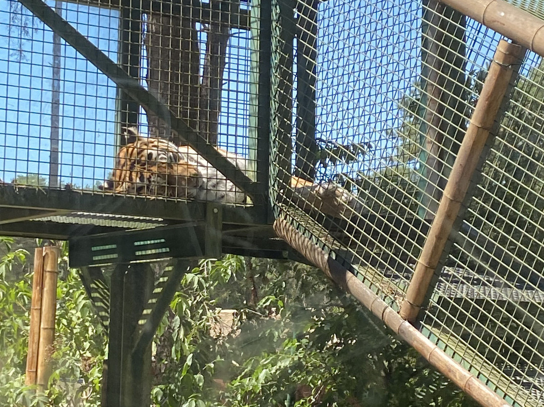 Serengeti-park Hodenhagen-Hodenhagen必去景点