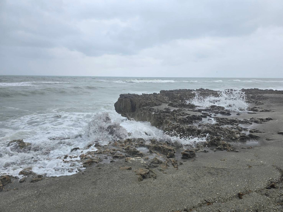 Blowing Rocks Nature Preserve-朱庇特必去景点
