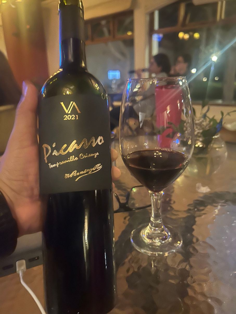 拉斯登纳斯酒店-旅行者