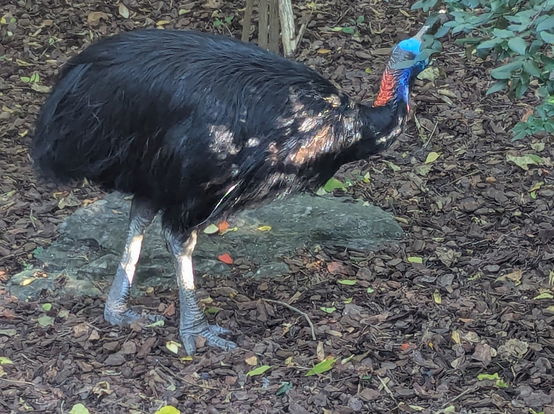 Nashville Zoo-纳什维尔必去景点