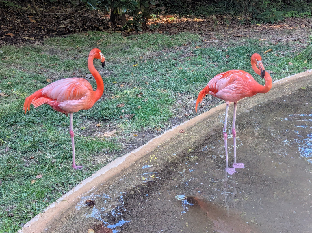 Nashville Zoo-纳什维尔必去景点