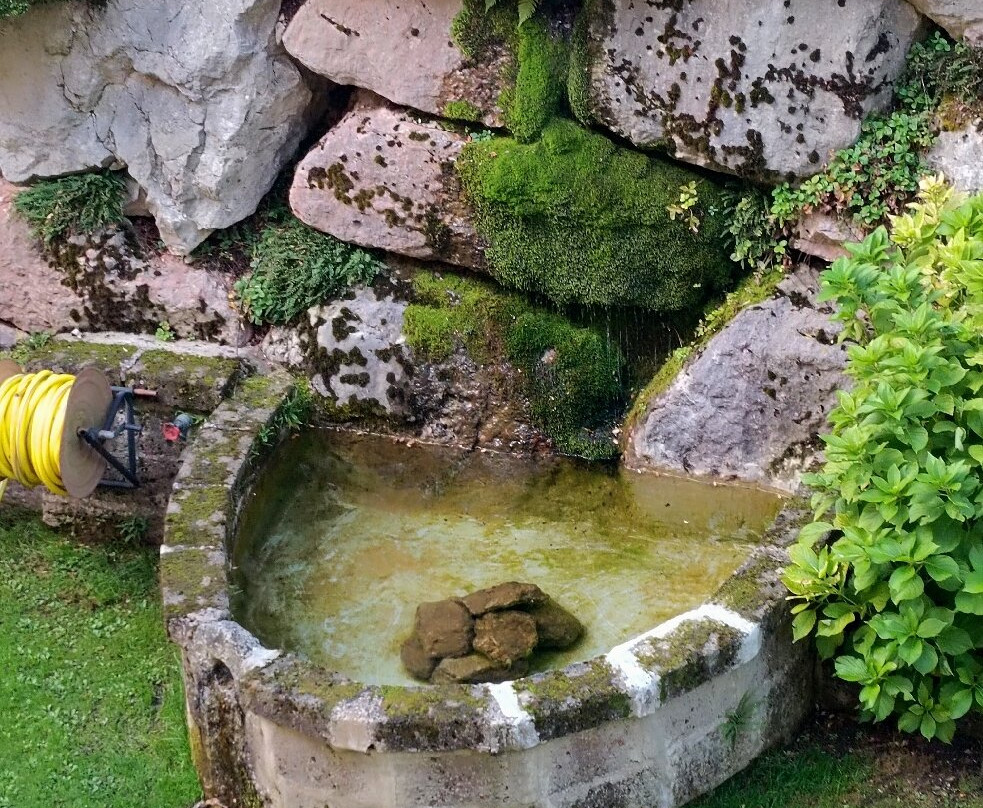 花园酒店主图