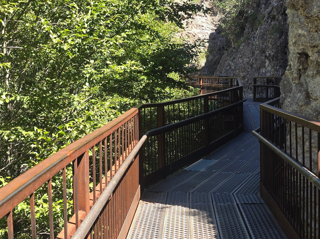 Catwalk Trail-Glenwood必去景点