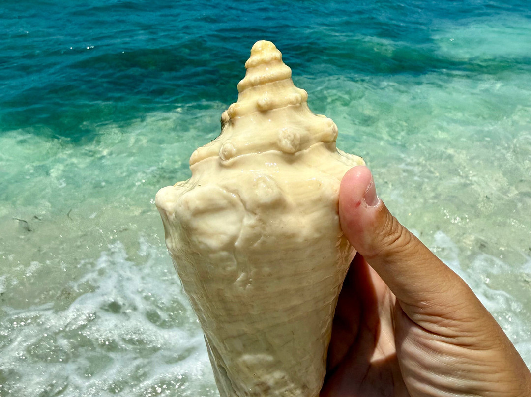 Spotts Beach-大开曼岛必去景点