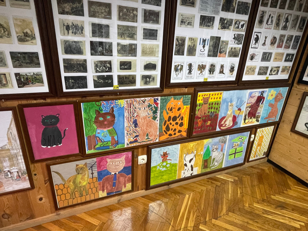 Cats Museum-科托尔必去景点