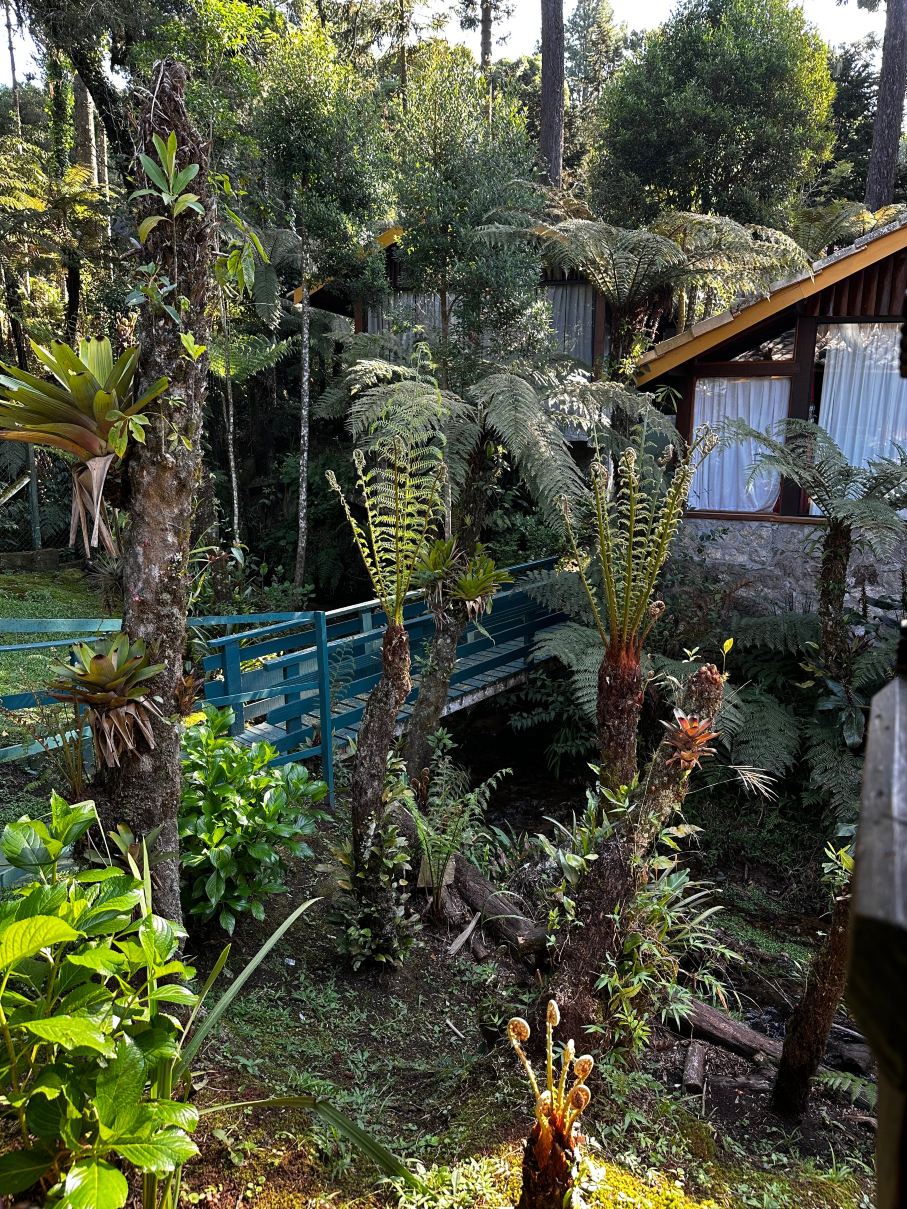 Pousada Villa d'Amore-旅行者