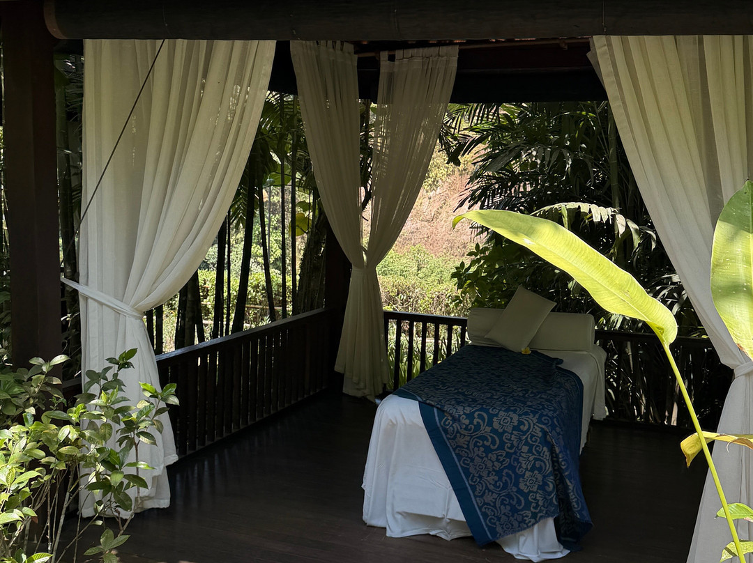 Heavenly Spa By Westin Ubud-Singakerta必去景点