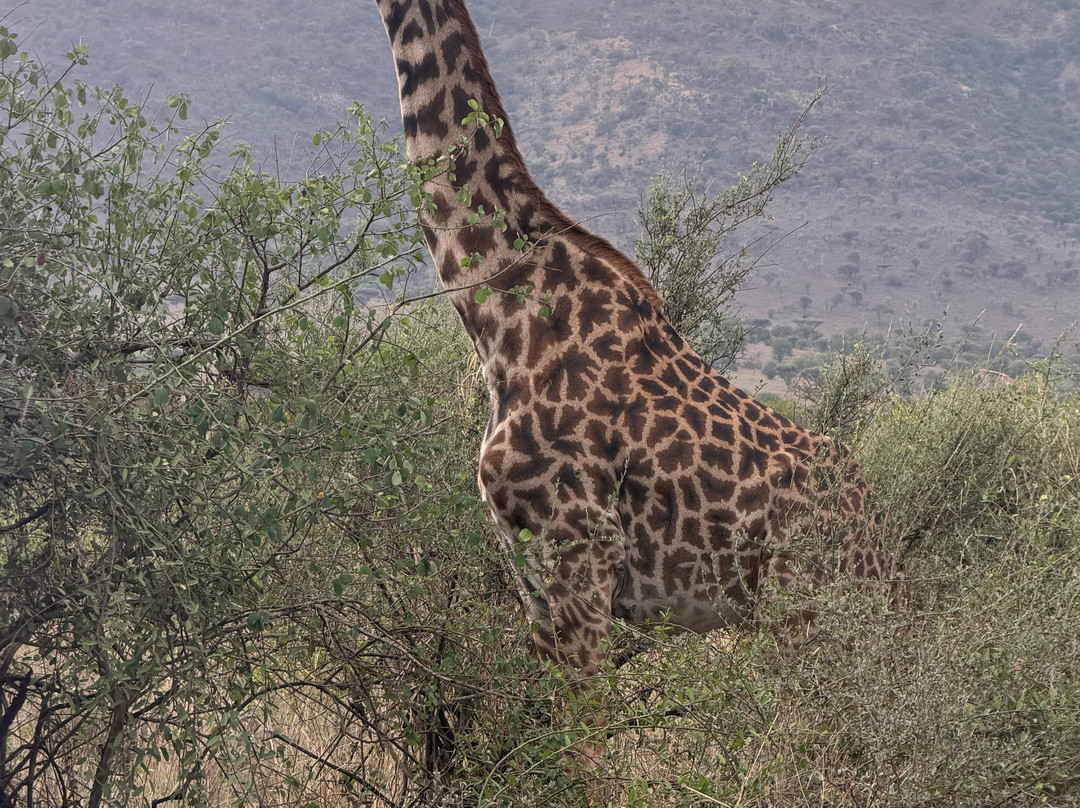 Sereland Africa Safaris-Sakina必去景点