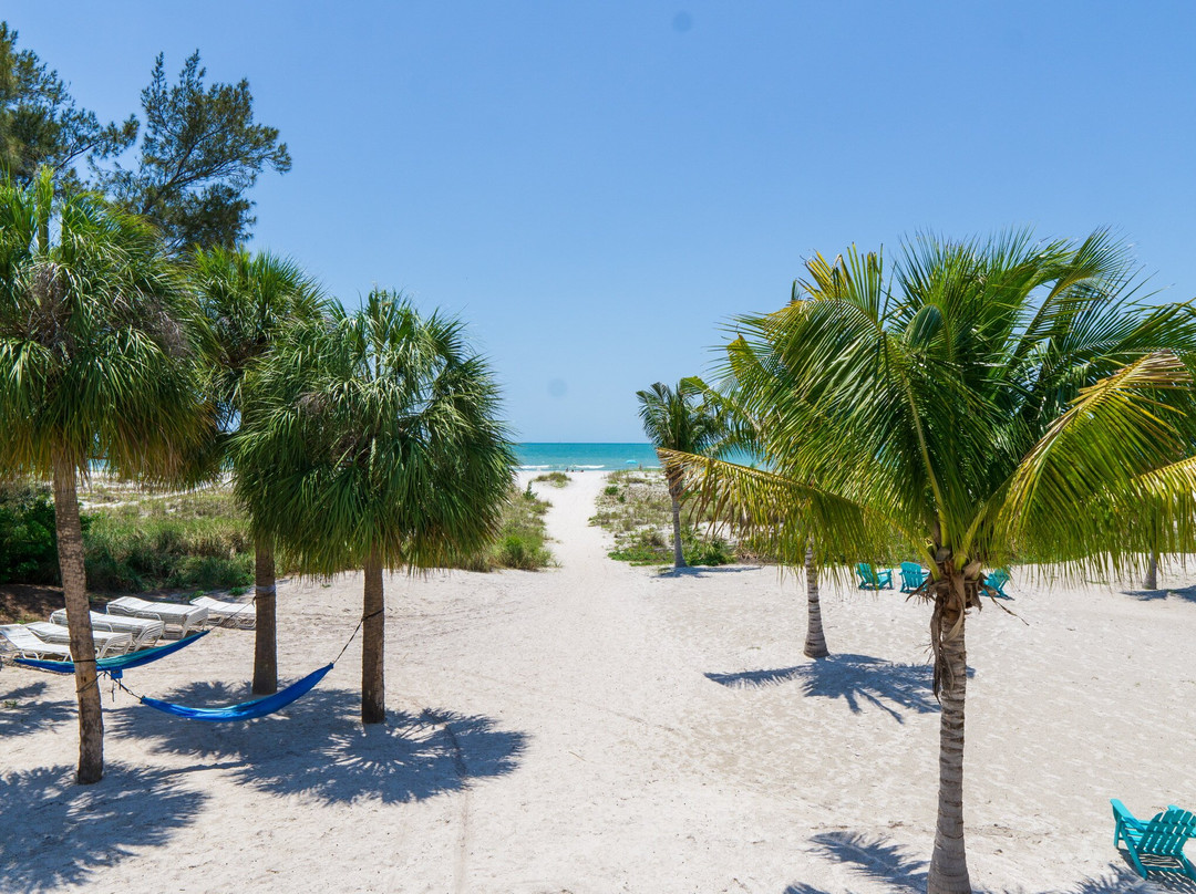 The Molloy - A Boutique Beach Resort