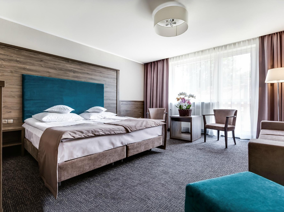 Karpacz酒店住宿-Hotel Konradówka Wellnes & SPA