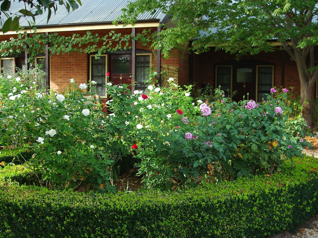 Newbridge酒店住宿-Motel Maldon