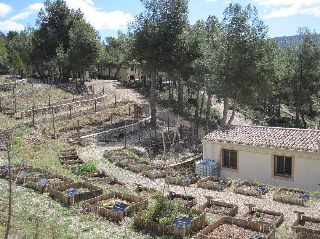 Jardin Botanico de Torretes景点图片