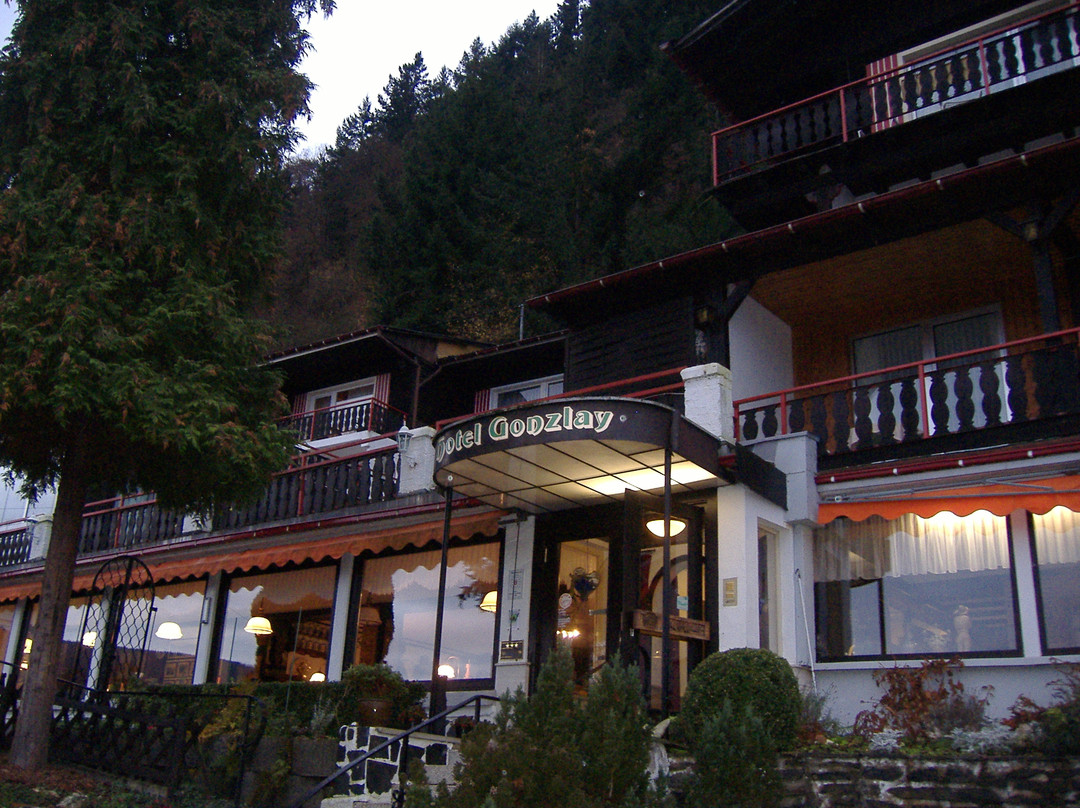 Hotel Gonzlay