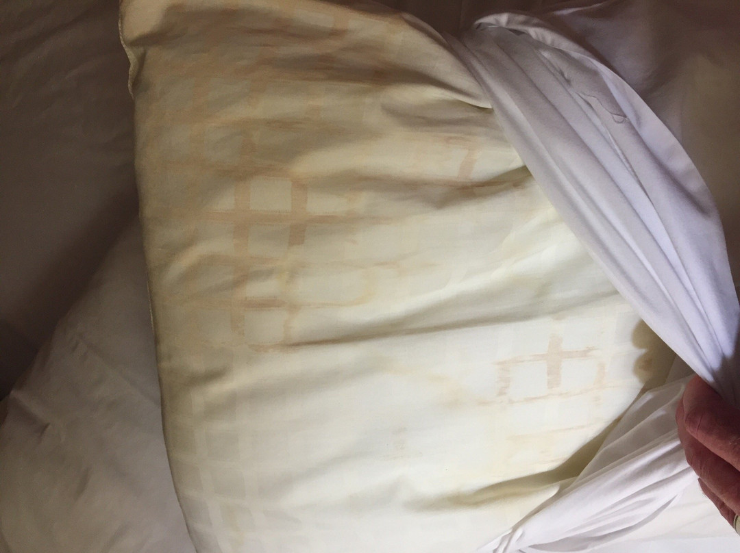 Regency Inn & Suites