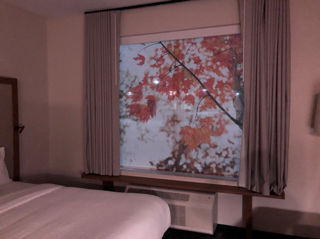 Fairfield by Marriott Inn & Suites Cincinnati Airport South/Florence主图