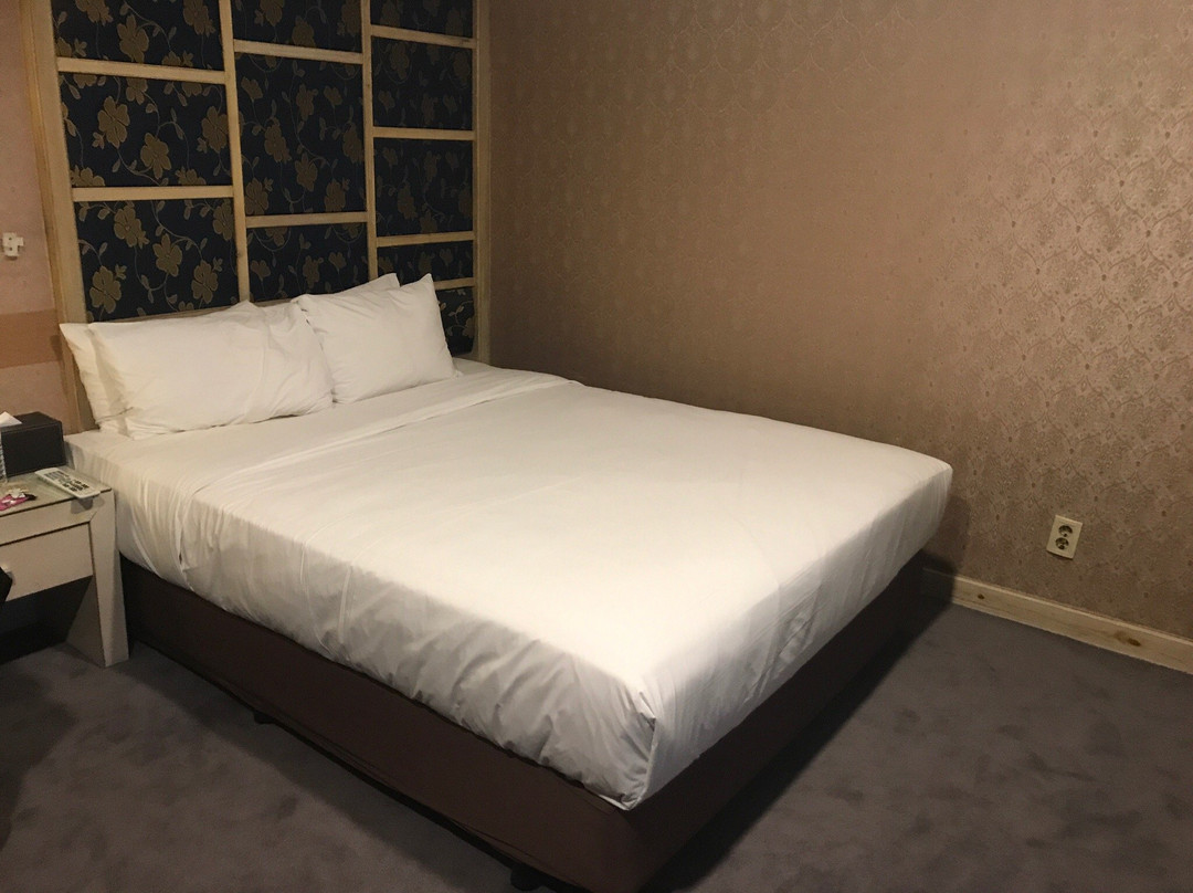 天安市酒店住宿-Cheonan Metro Tourist Hotel