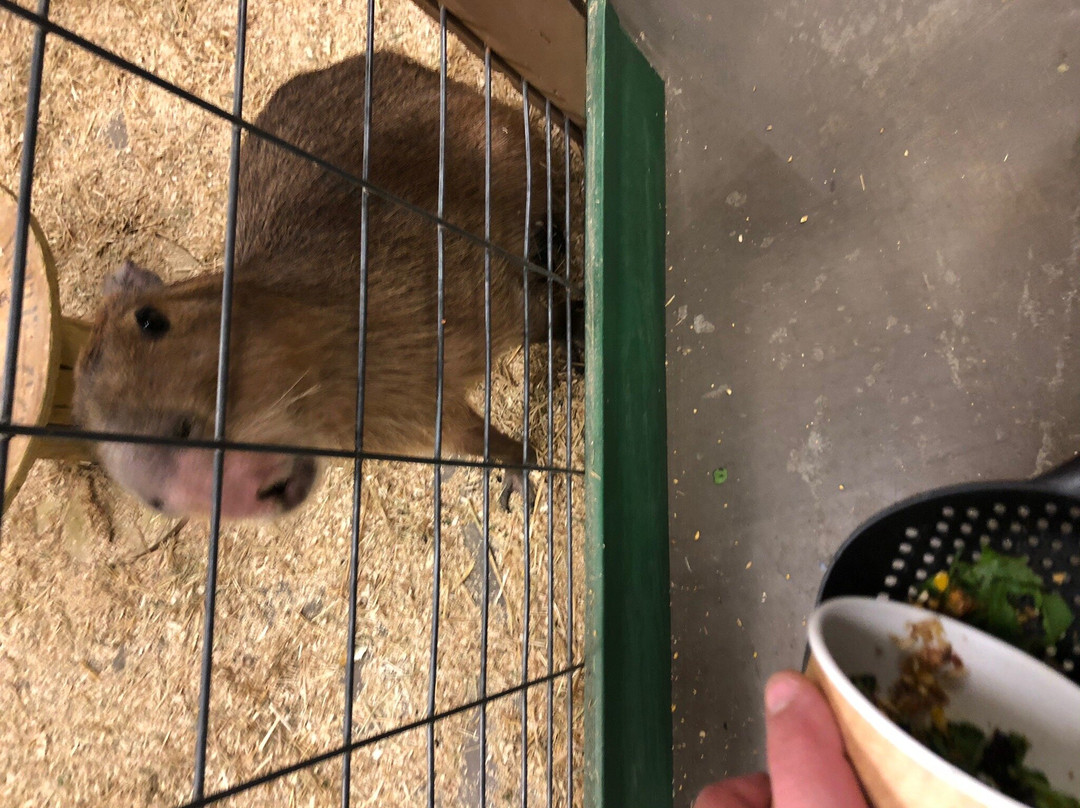 Sustainable Safari-Maplewood必去景点