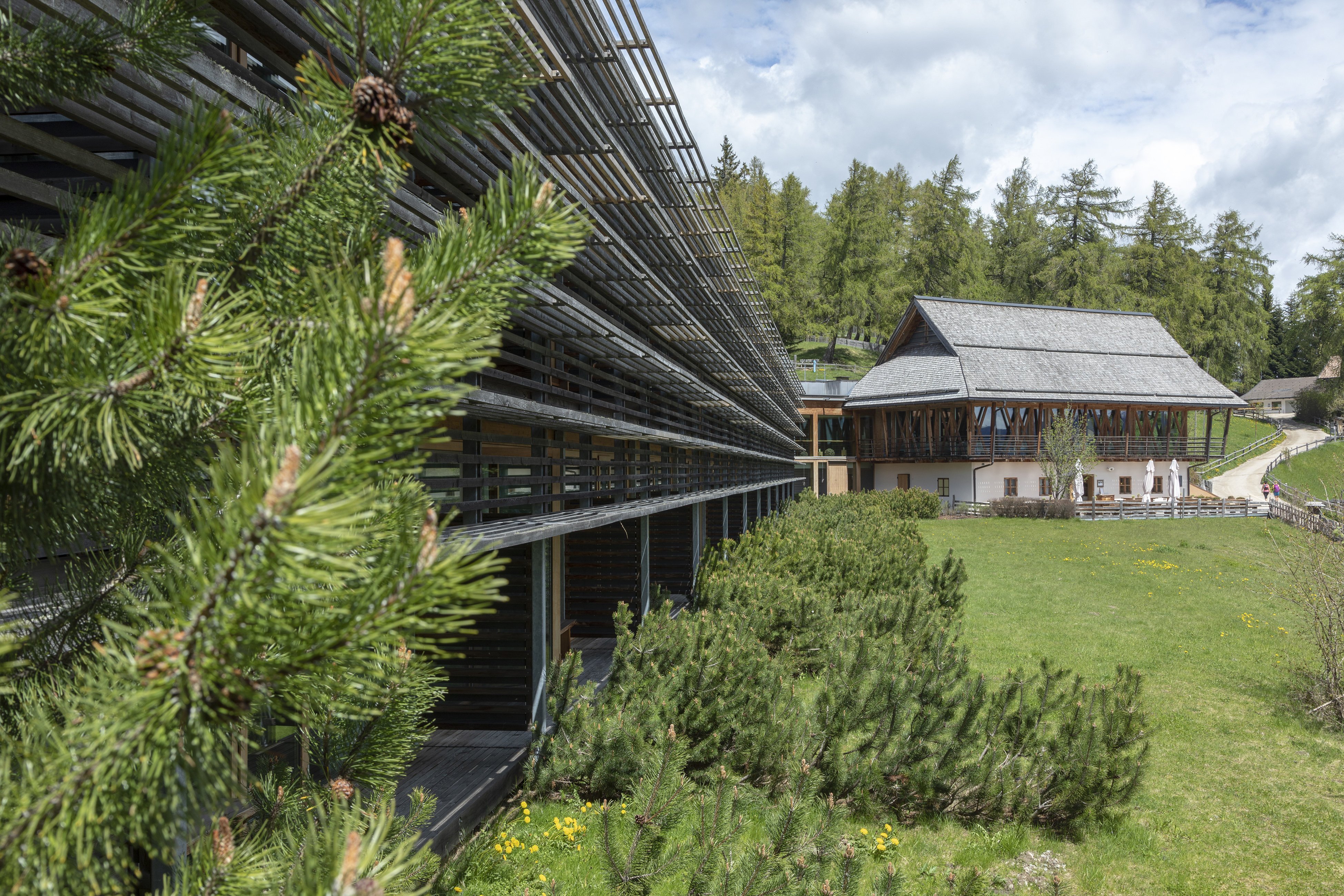 维吉露斯山度假酒店-官方