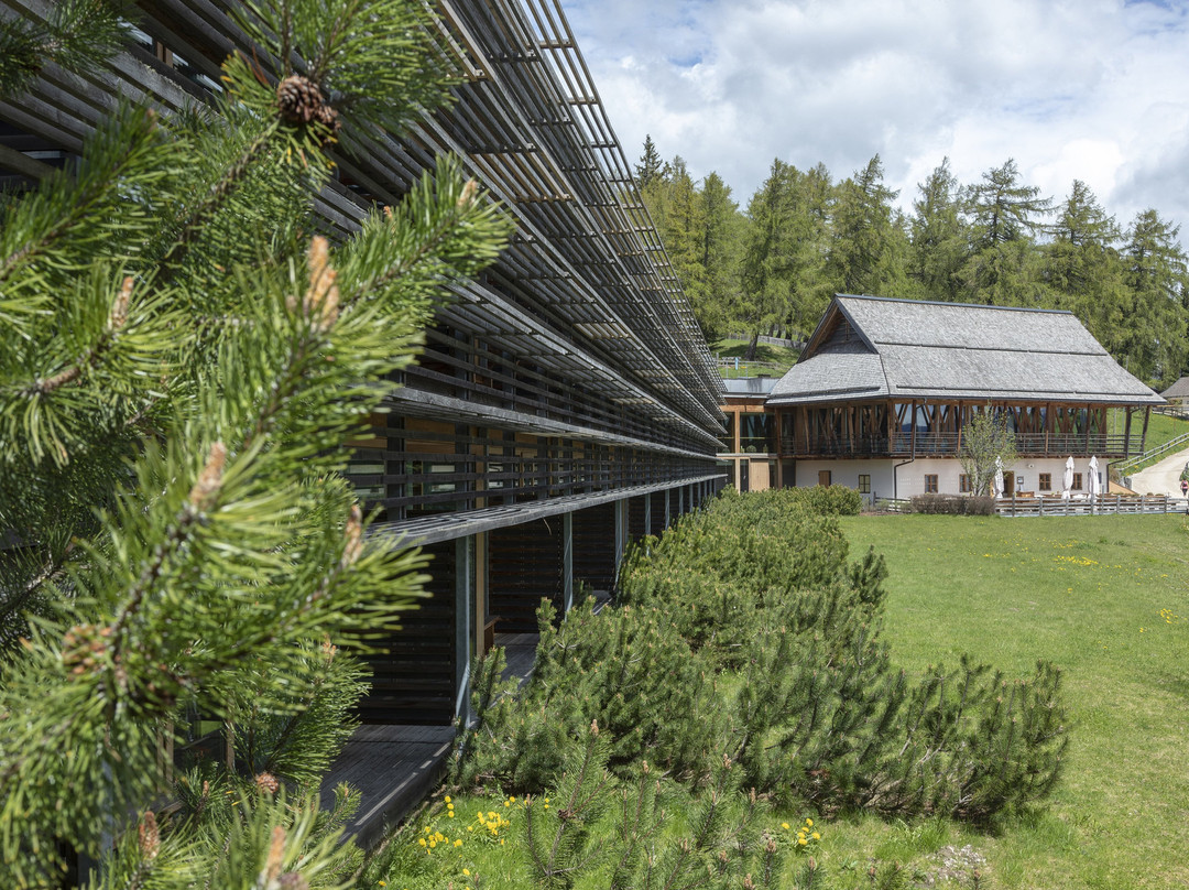 维吉露斯山度假酒店主图