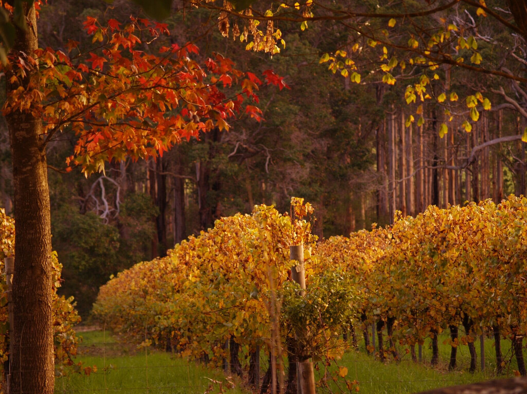 Pemberley Of Pemberton