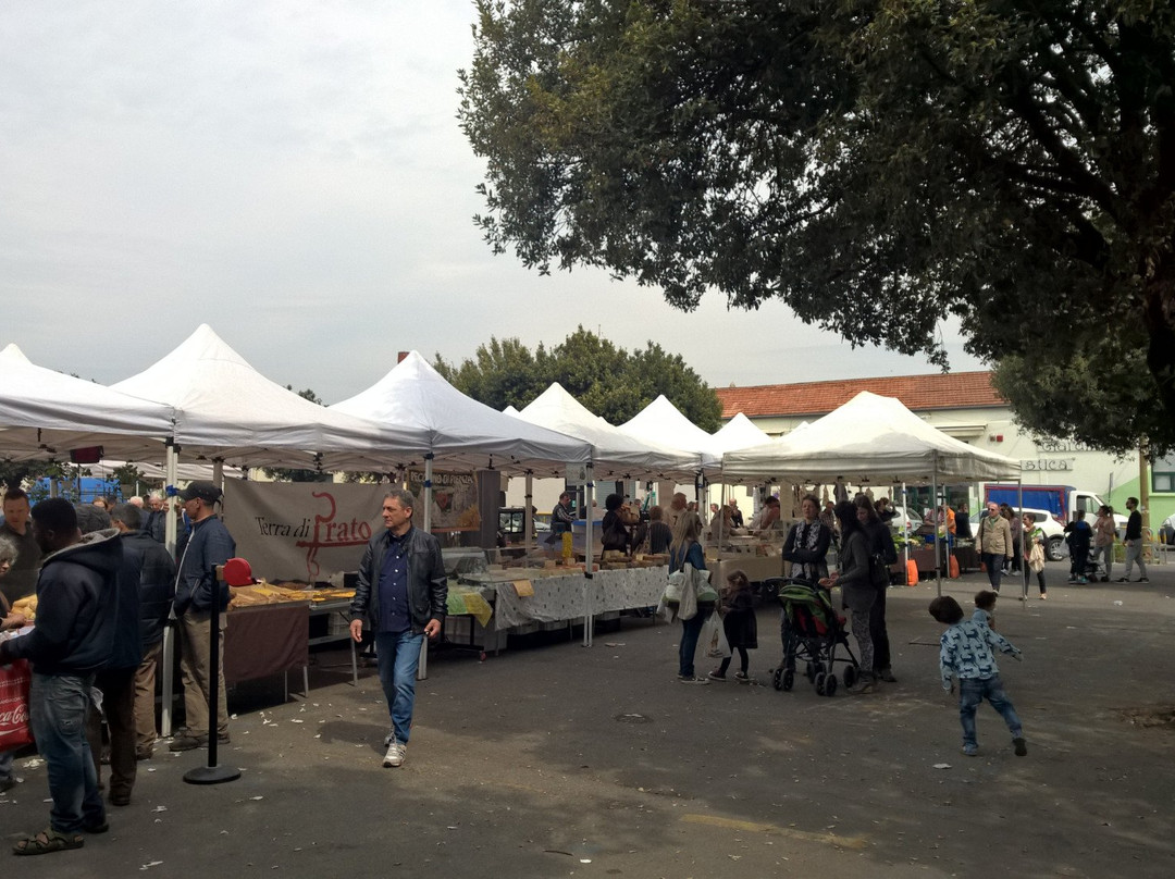 Mercato Terra di Prato景点图片