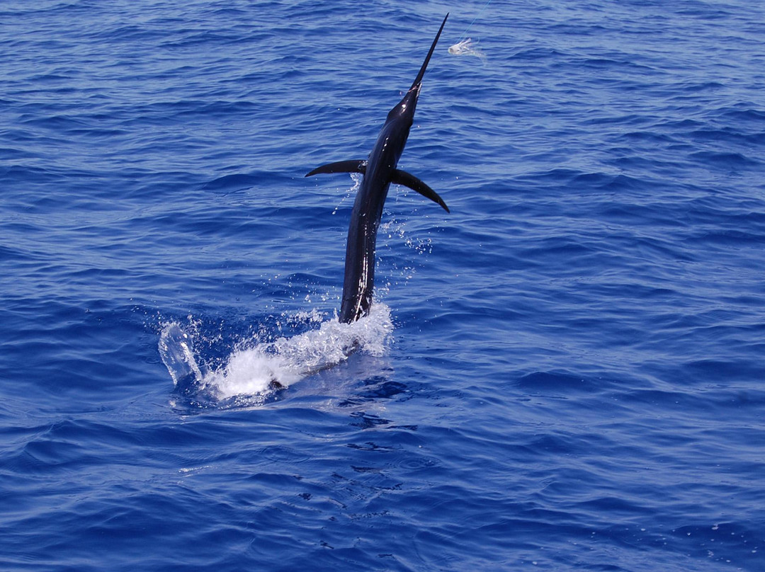 Islamorada Fishing-伊斯拉摩拉达必去景点