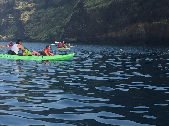 Bay Side Adventures-库克船长必去景点