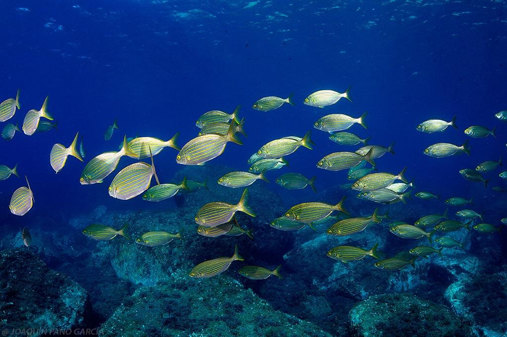 Diving Center Colera-Colera必去景点