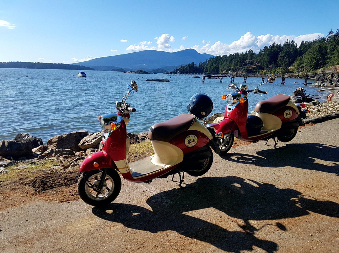 Zoom Zoom Bowen Island景点图片