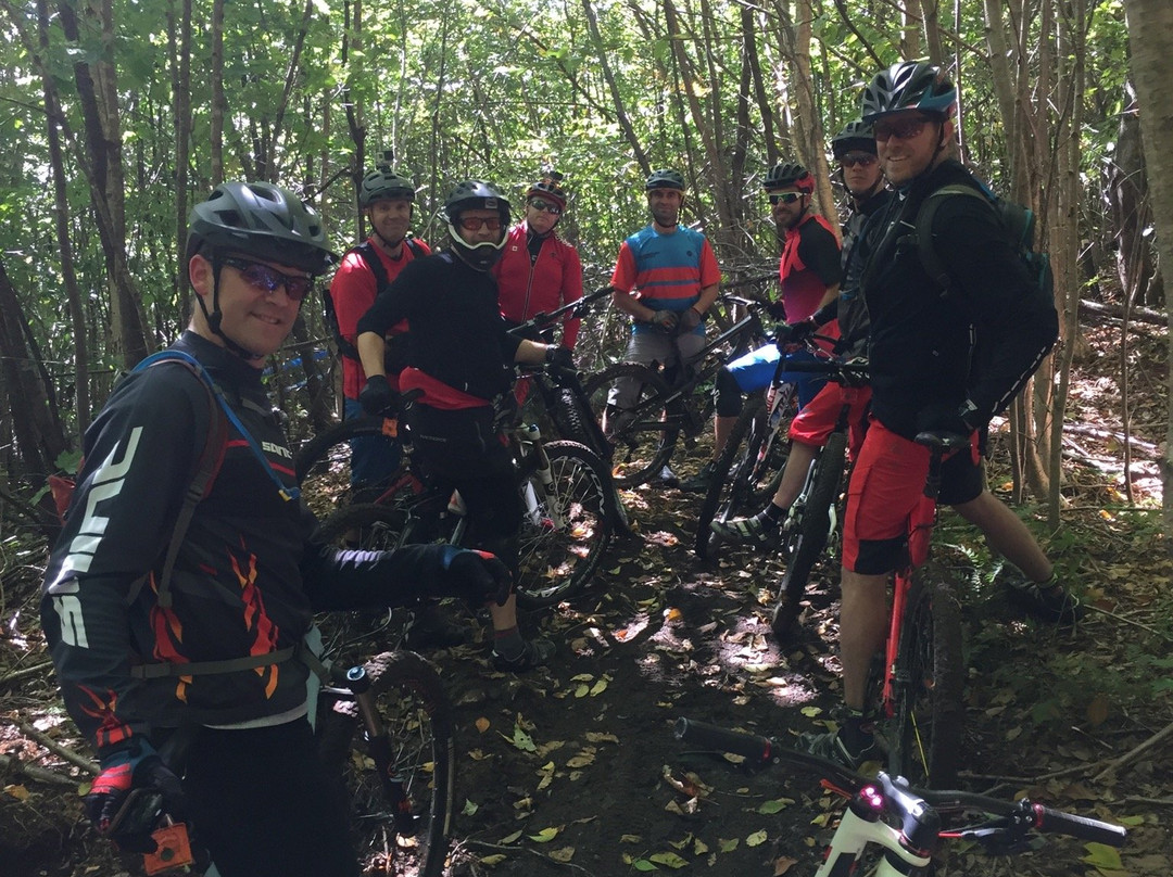 Vermont Mountain Bike Tours