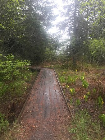 Dock Point Park & Trail-瓦尔迪兹必去景点