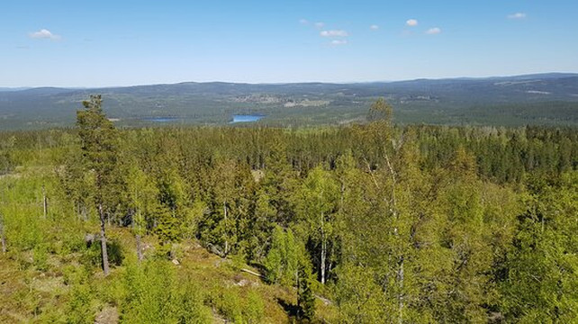 Kullens Utsiktstorn-Nyhammar必去景点