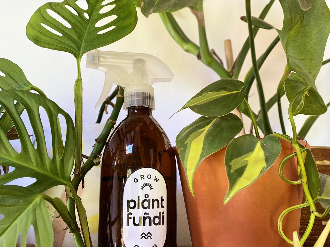 Plant Fundi-海纳茨堡必去景点