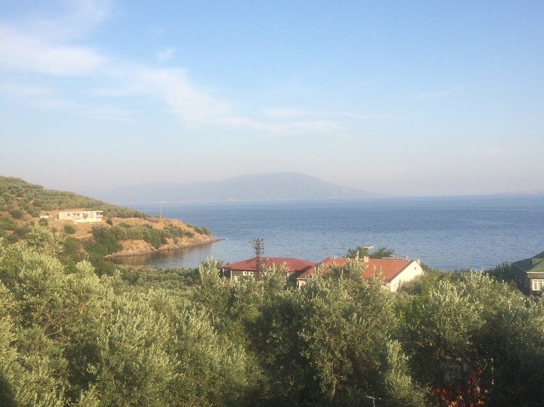 Saraylar酒店住宿-Marmara Zeytin Hotel