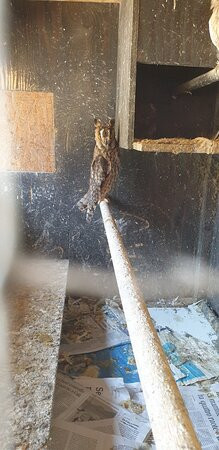 Museo di Storia Naturale del Salento-Calimera必去景点