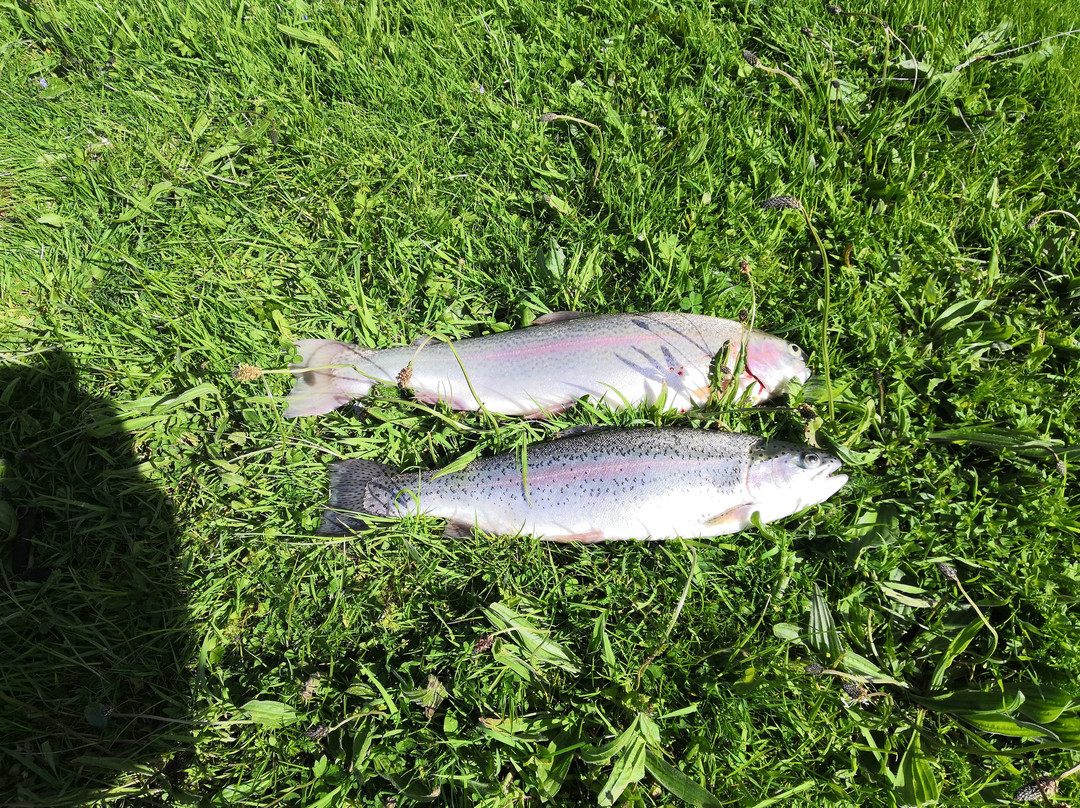THE FLY FISHING INSTRUCTOR-Churchinford必去景点
