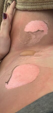 Hotel Bosque Escondido主图