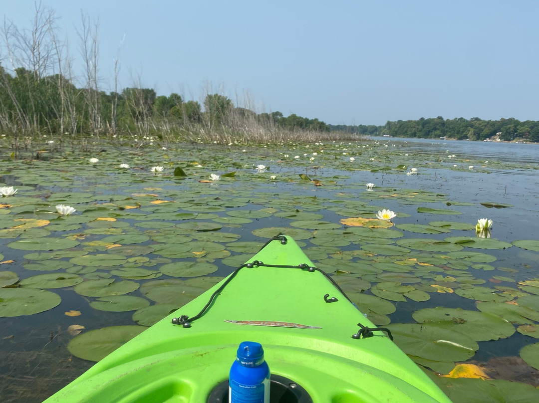 Captain Shawn's Charters and Rental