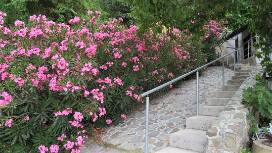 Ambelikos Traditional Agrohotel-浴室