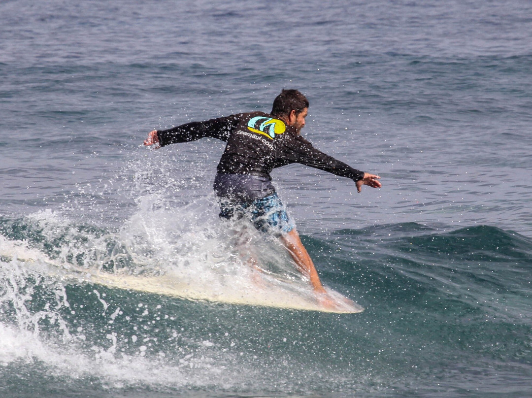 Sea Maui Surf