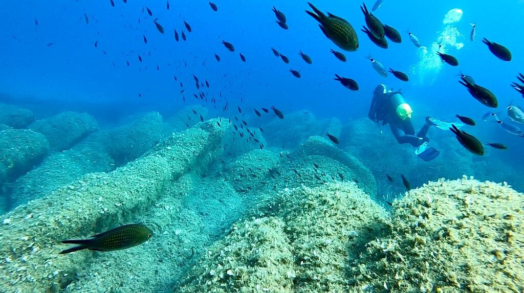 Pollo Diving ASD-Porto Pollo必去景点