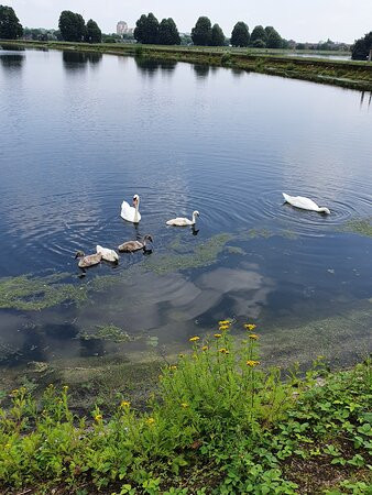 Walthamstow Wetlands-伦敦必去景点