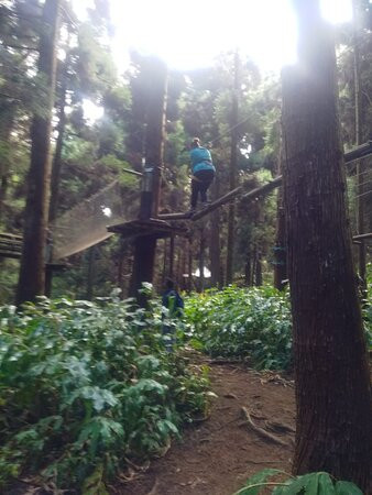 Makes Aventures-圣路易岛必去景点