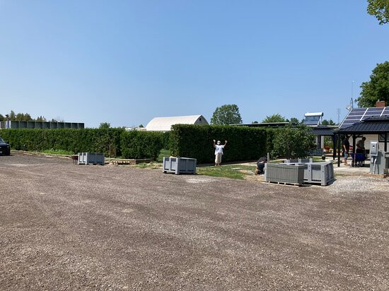 King's Court Estate Winery景点图片