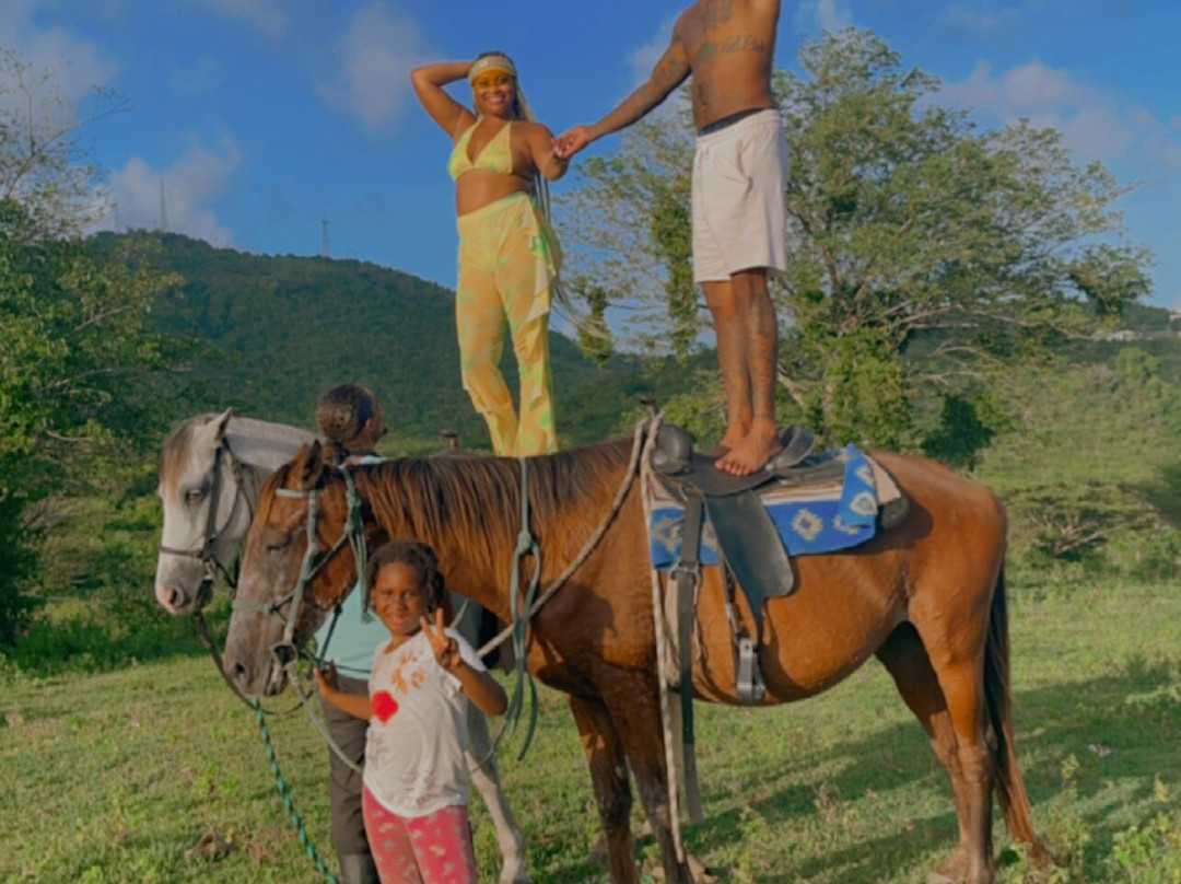 Nick's Scenic Equine Tours-Kingshill必去景点