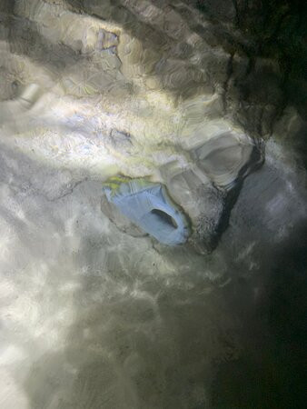 Shark's Cove-哈雷瓦必去景点