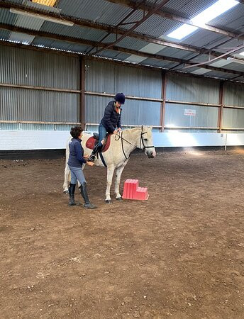 Clarina Equestrian Centre-利默里克必去景点