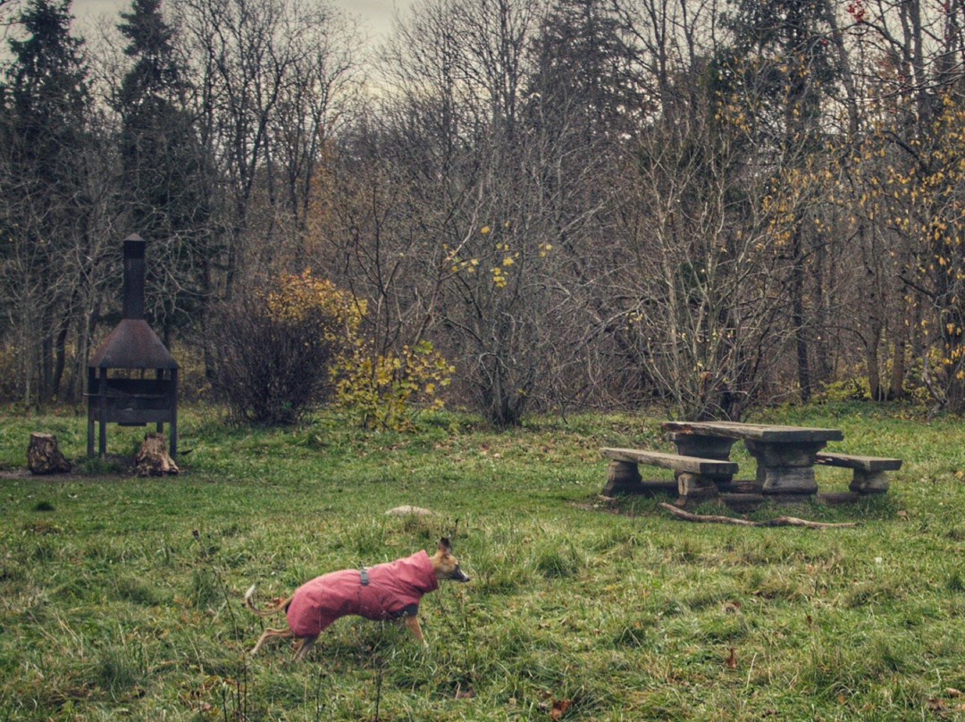 Tabasalu Loodusõpperda